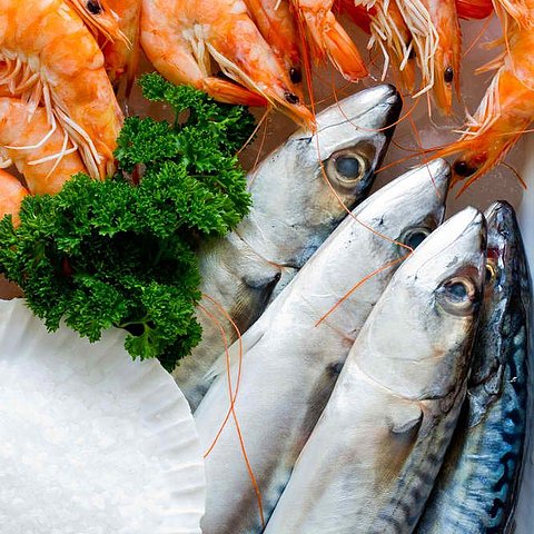Fisch und Garnele Roh