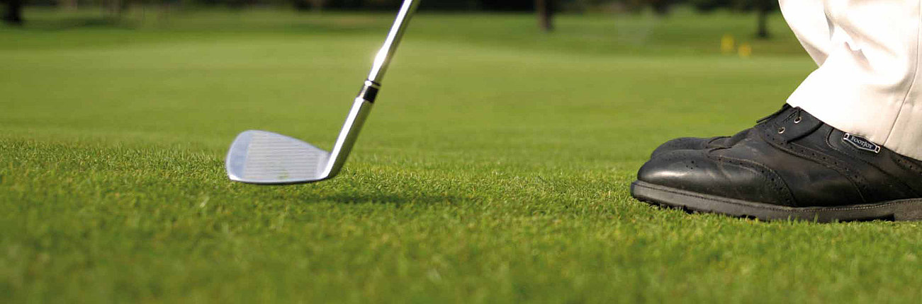 Golfball auf Wiese